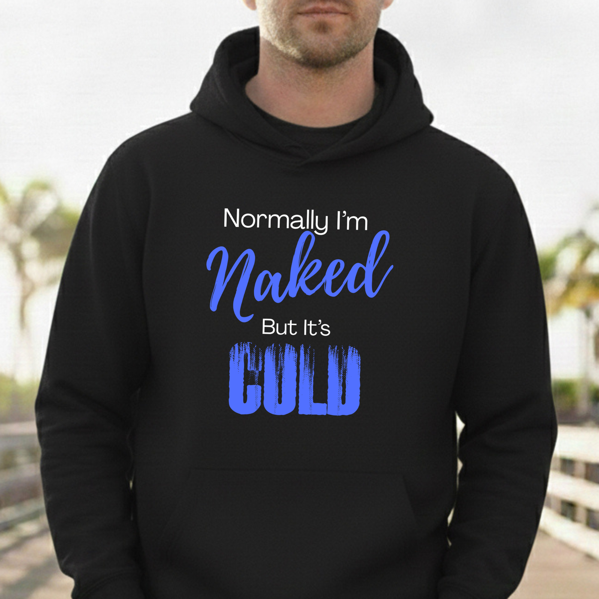 Hoodie — "Normally I'm Naked But It's Cold" Cozy Pullover, Fun Ski Sweater, Nudist Naturist Top